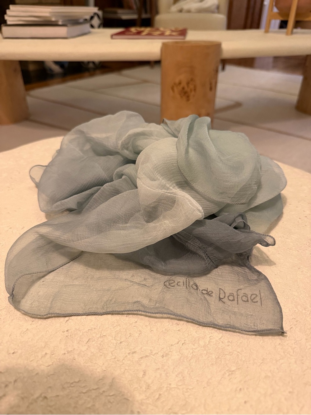 Seafoam Green and Gray Sheer Scarf - 100% silk